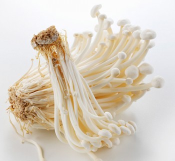 Enoki-blanc